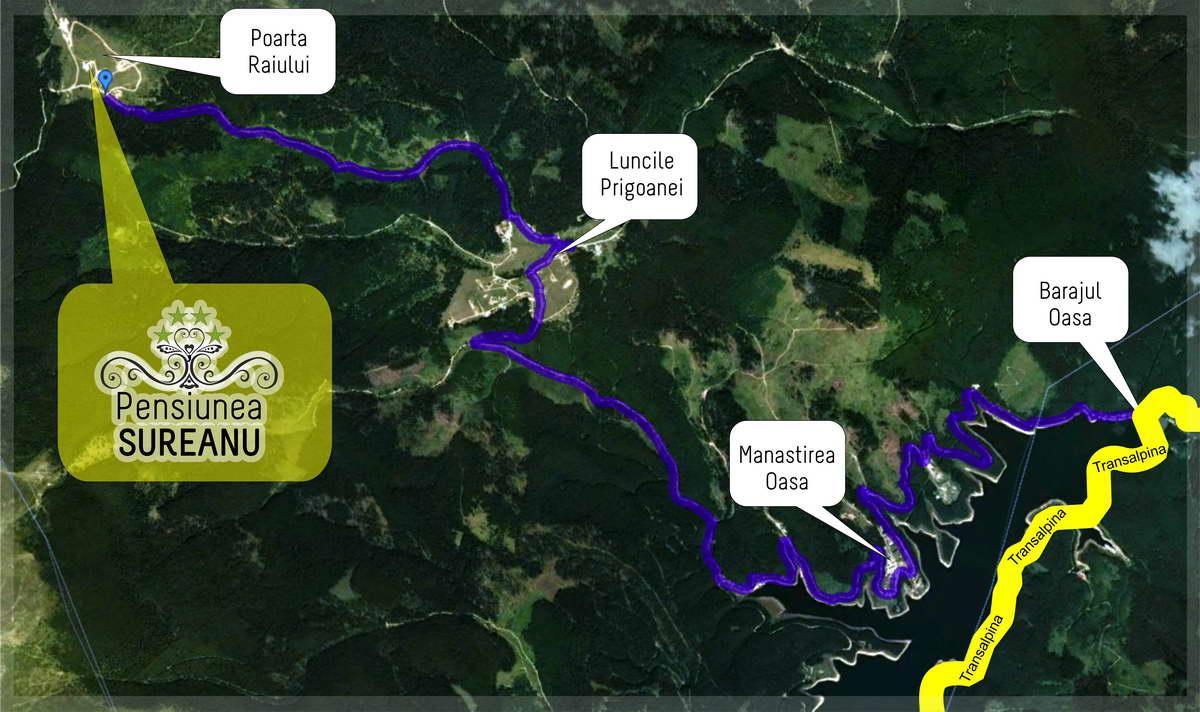 Pensiunea Sureanu Tău Bistra Exteriör bild